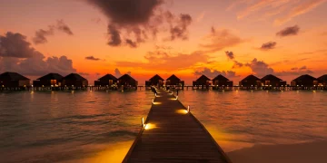 Could a Single Trip Alter the Course of Your Life Forever?