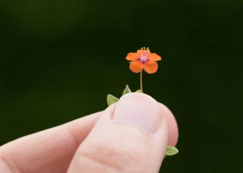 How Can Mindfulness Help in Breaking Habits?