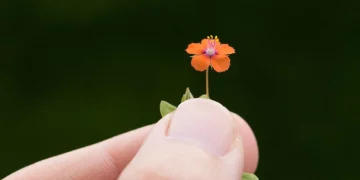 How Can Mindfulness Help in Breaking Habits?