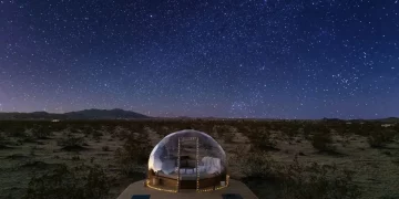 Can Adventure Be Found in Your Own Backyard?