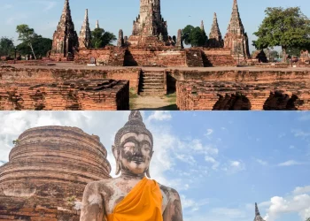 What Happens When You Lose a Culture’s Traditional Practices?