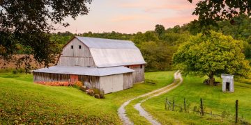 Why Do We Still Seek Remote Villages Over Modern Cities?