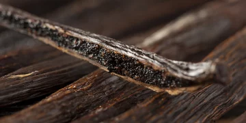 Can You Taste the Difference Between Real and Fake Vanilla?