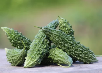 Why Are Certain Flavors Considered “Acquired Tastes”?