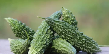 Why Are Certain Flavors Considered “Acquired Tastes”?