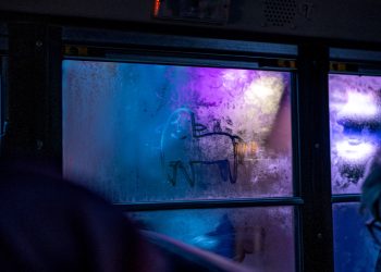 What if the most fulfilling journeys are the ones you never plan for?