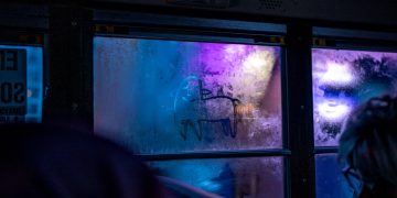 What if the most fulfilling journeys are the ones you never plan for?