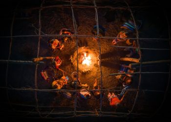 Why Are Certain Languages Dying Out While Others Flourish?