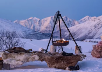 How Do Environmental Factors Like Altitude Affect Taste?